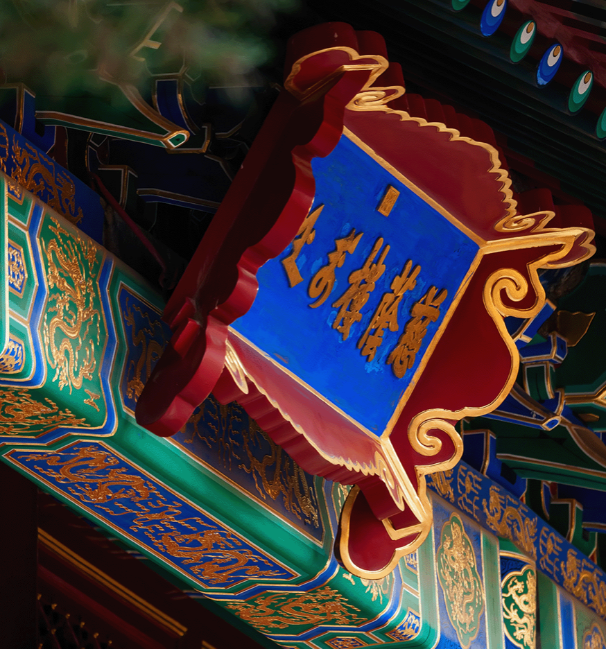 跳转动视频详情页ID191031