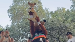 2026 NBA Finals: Air Corgi predicts Spurs in seven games image