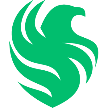 Team Falcons logo
